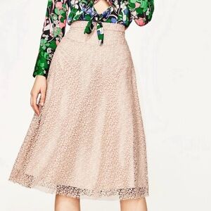 Zara lace midi skirt
